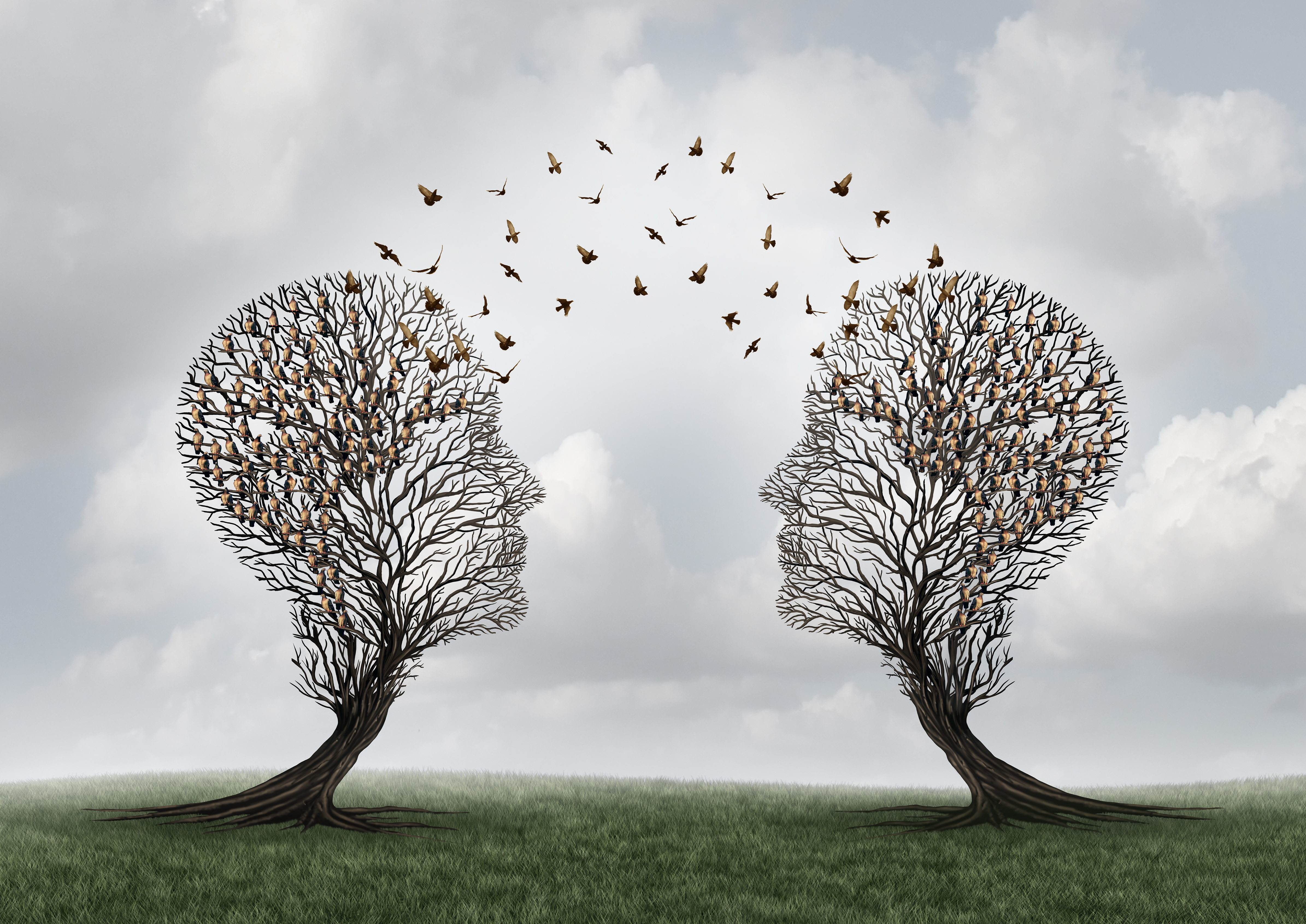 Revenue management outsourcing and mentorship image showing two head-shaped trees connected by birds